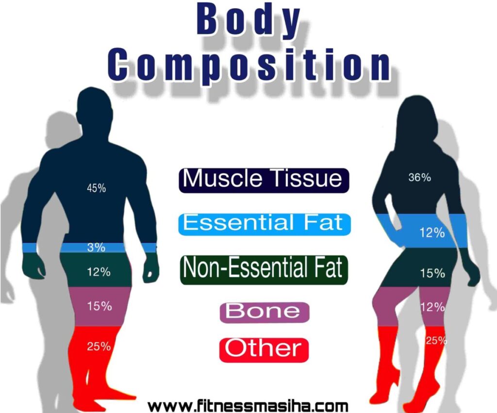 Body composition in hindi