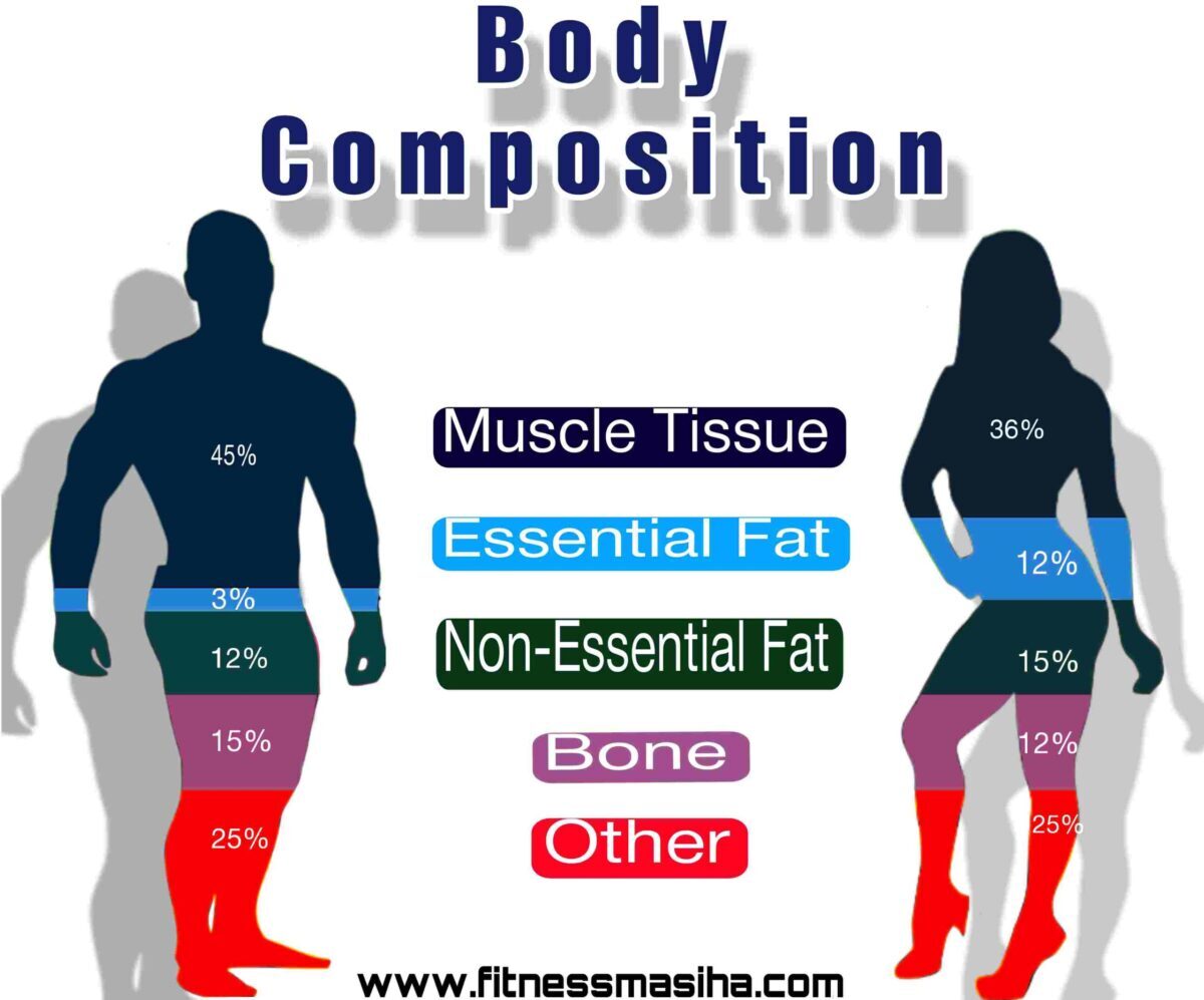 best-guide-to-body-composition-in-hindi